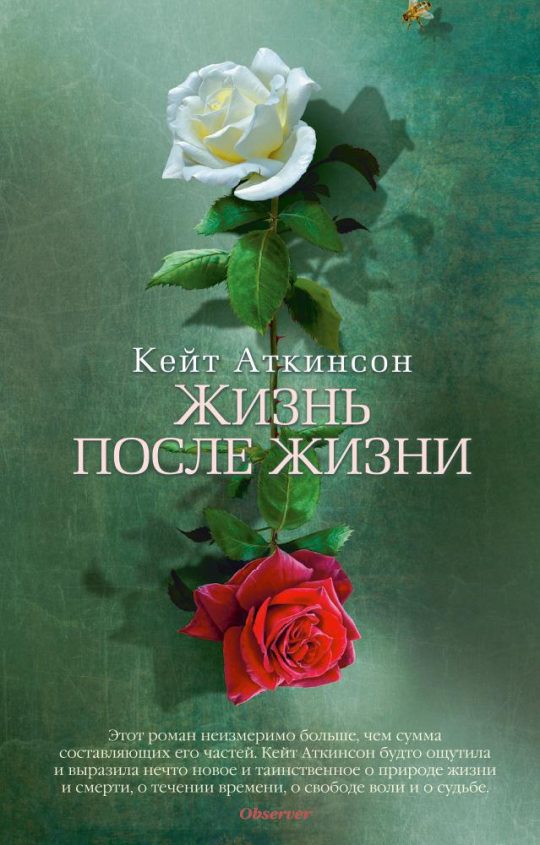 Жизнь после жизни (мягк/обл.)