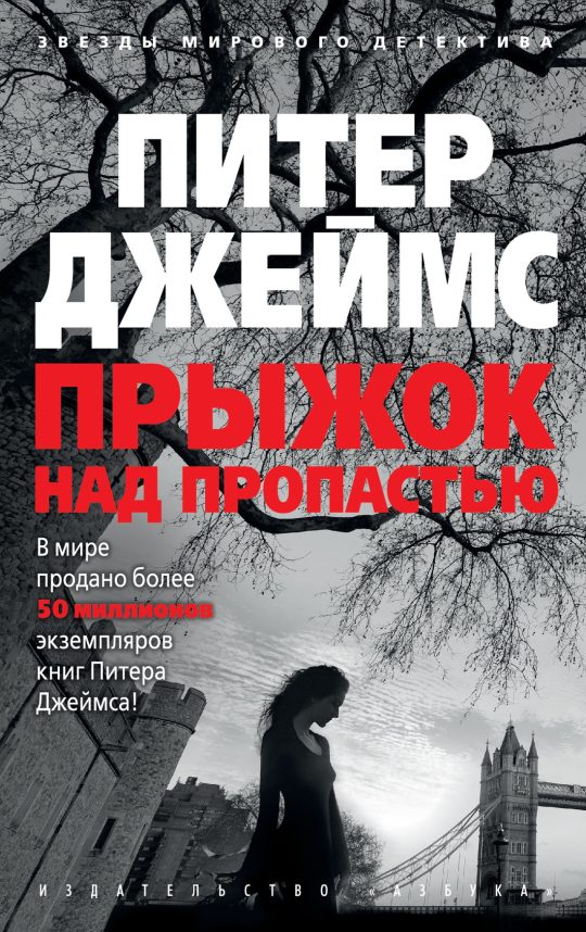Прыжок над пропастью (мягк/обл.)