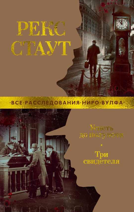 Успеть до полуночи. Три свидетеля (мягк/обл.)
