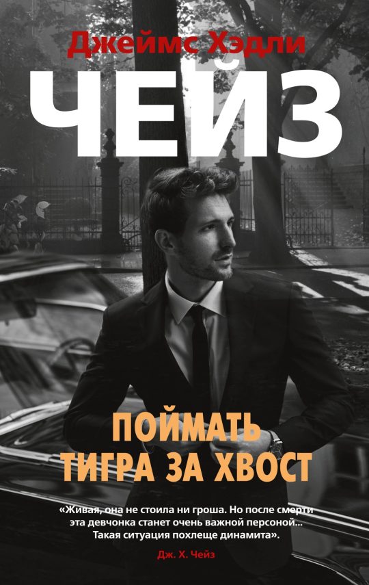 Поймать тигра за хвост (мягк/обл.)