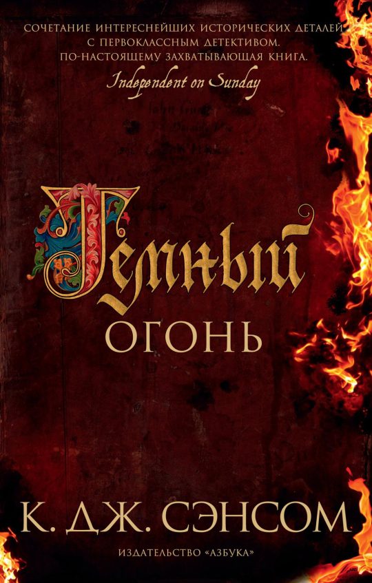 Темный огонь (мягк/обл.)