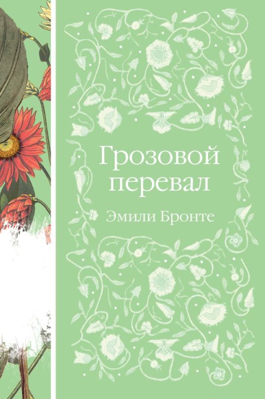 Грозовой перевал (книга  #5)