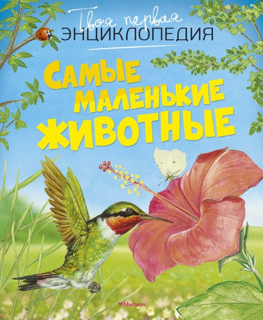 Самые маленькие животные (нов.оф.)