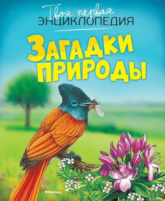 Загадки природы (нов.оф.)