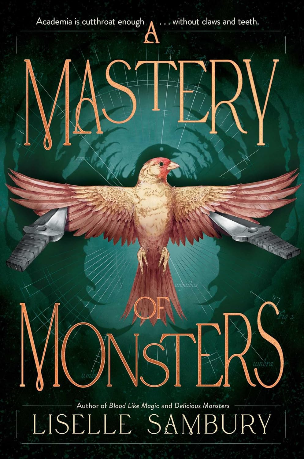 29 июля 2025 года стартуют продажи «A Mastery of Monsters» от автора Лизель Самбери (18+)