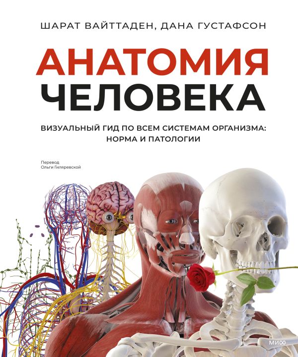 Анатомия человека. Визуальный гид по всем системам организма: норма и патологии