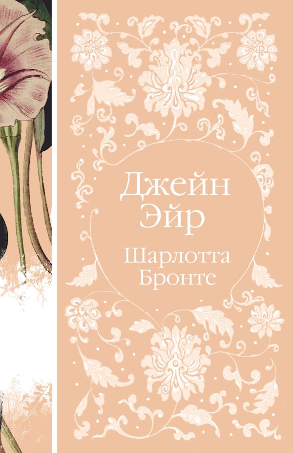 Джейн Эйр  (книга #2)