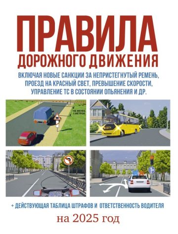 Правила дорожного движения на 2025 год. Действующая таблица штрафов и ответственность водителя
