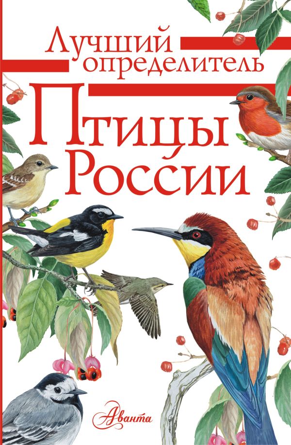 Птицы России