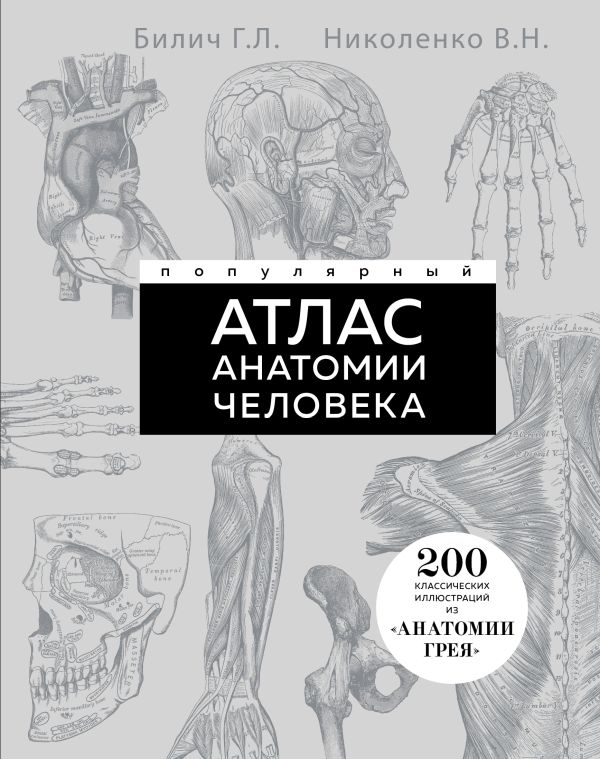 Популярный атлас анатомии человека. Анатомия Грея. 200 классических иллюстраций